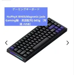 新品未使用 fox65 シルバー chosfox カスタムキーボード - メルカリ