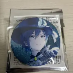 プロセカ グリッター缶バッジ 56B カラパレ購入特典 KAITO - メルカリ