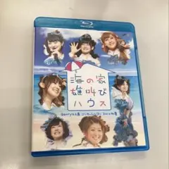 Berryz工房コンサート2010初夏～海の家 雄叫びハウス Blu-ray