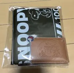セット売り！スヌーピー　エコバッグ&ケース付きカードミラー　AOKI