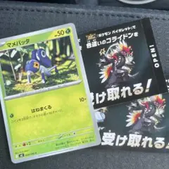 マメバッタ　おまけつき