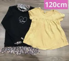 120cm MPS花柄フリル付きトレーナー　UNIQLO半袖トップス　Tシャツ