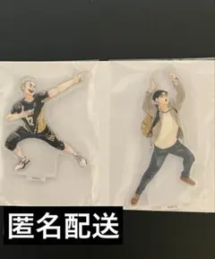 ハイキュー‼︎10thクロニクル　木兎　赤葦