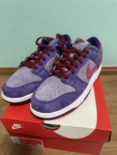 Nike Dunk Low SP プラム