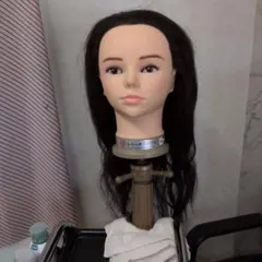 レジーナ 803CPL ダークブラウン ロングウィッグ　クランプ付き 2026年最新】supply regina fashionの人気アイテム - メルカリ