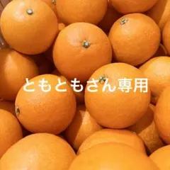 ともともさん専用 まどんな 紅マドンナ あいか 愛果28号