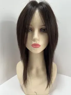 フルウィッグ人毛100%人毛ウィッグ医療ウィッグロングストレート センターパート フルウィッグ人毛100%人毛ウィッグ医療ウィッグロングストレート