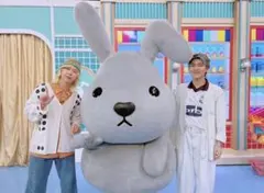 ポチャッコ ハーモニーランド ピューロ サンリオ おっきなタペストリー