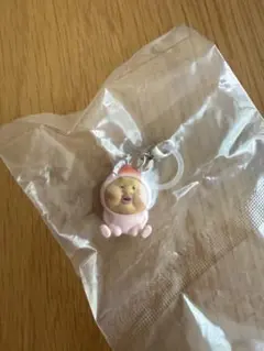こびとづかん めじるしチャーム カクレモモジリ