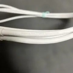 Apple 純正 Thunderbolt 2 ケーブル 2m