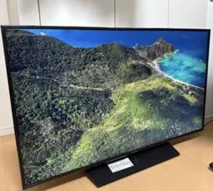 2025年最新】Panasonic パネル性能：4K 液晶テレビの人気アイテム