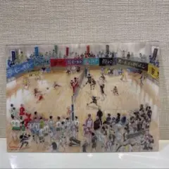 【新品】 ハイキュー　 下敷き