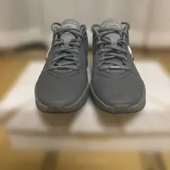 未使用級✨Nike LeBron XXI EP レブロン21 クールグレー 箱付 - メルカリ