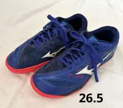 Mizuno 卓球シューズ ネイビー/レッド