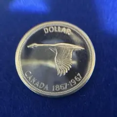 2026年最新】カナダ 1966 銀貨の人気アイテム - メルカリ