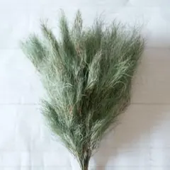 marryしゃん様 リクエスト 2点 まとめ商品