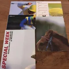 Item thumbnail for item 2c7fe848-2035-45d7-a675-ddc5ed43dbcf