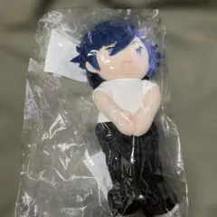 2026年最新】一ノ瀬トキヤ ぬいスターの人気アイテム - メルカリ