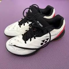 2026年最新】パワークッション65z 2の人気アイテム - メルカリ