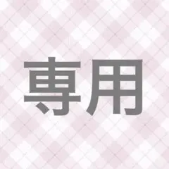 専用ページ