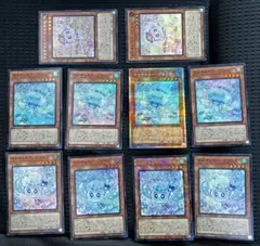 マルチャミープルリア プリシク プリズマ　マルチャミーづくし　フワロス　ニャルス