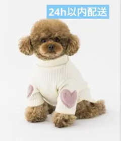 Item thumbnail for item 183a526d-67f1-4bd5-bd57-c589f99c7202