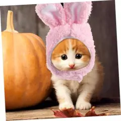 Item thumbnail for item ed2ddfbd-a1a6-4114-8097-9b62585f749e