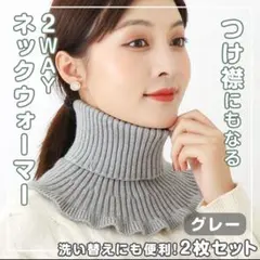 【値下げキャンペーン中！】ネックウォーマー 防寒 つけ襟 タートルネック グレー