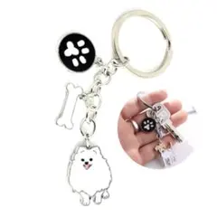 Item thumbnail for item 92d266fd-2f18-4050-b445-52192cb48fe5