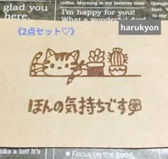 消しゴムはんこ [572]多肉トラねこ2点セット