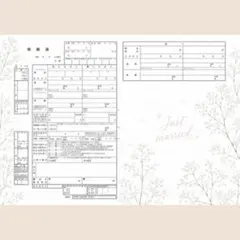 かすみそう　婚姻届　シンプル　結婚式　ブライダル　記念日のサムネイル