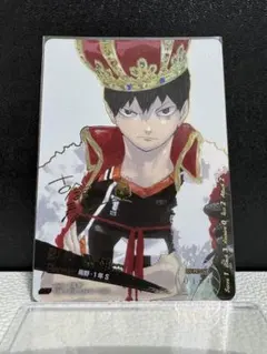 ハイキュー バボカ 極P 日向翔陽 シリアルナンバー 古舘春一先生