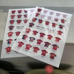 鹿島アントラーズ⭐︎国立限定クリアファイル2枚【非売品】