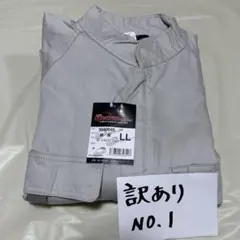 Item thumbnail for item 9b9b8763-cd56-4eaf-aa90-bccd3702df49