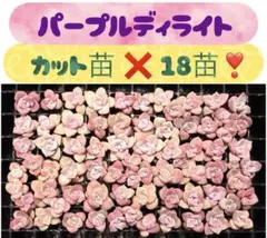 JYUNKO様 リクエスト 2点 まとめ商品