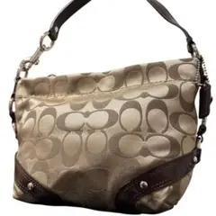 未使用級✨Coach Accessory Pouch Bag Brown y2k