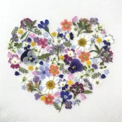 しょうこ様 リクエスト 2点 まとめ商品