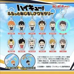 ハイキュー!! ふらっとめじるしアクセサリー　及川徹