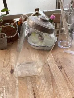 ウシの角から作られたタンブラー、または花瓶 ウシの角から作られたタンブラー、または花瓶 - メルカリ