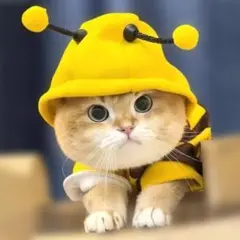 고품질 강아지/고양이 가을/겨울 L 꿀벌 디자인 후드 강아지/고양이 옷
