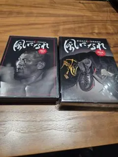 스즈키 미노루 나카무라 아유미 비 더 윈드 컴플리트 에디션 DVD CD BOX