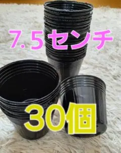 ミッキー様 リクエスト 3点 まとめ商品