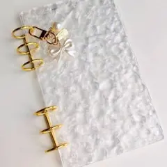 Item thumbnail for item 82175940-a2e3-4713-9837-598576a44629