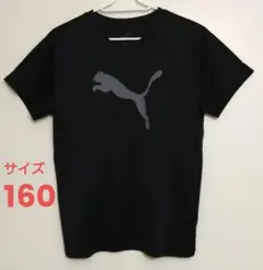 プーマ シャツ 160