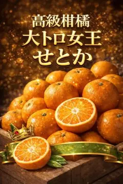 MiMi様専用　ポンカン　せとか　家庭用　5kg　中島　愛媛県　農家直送