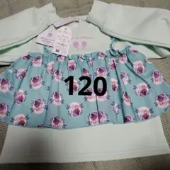 Item thumbnail for item 4f23e7b1-7063-4180-911e-a33caf039da4