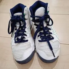 asics ダンクショット MB9
