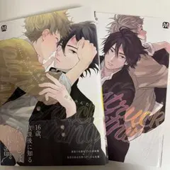 キューピッドに落雷 追撃 2冊セット