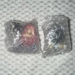 エイリアンステージ ALIENSTAGE ミジ スア ねんどろいどさぷらいず