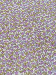 Item thumbnail for item 22095fa6-ca5a-4082-b76f-754f58f0b747